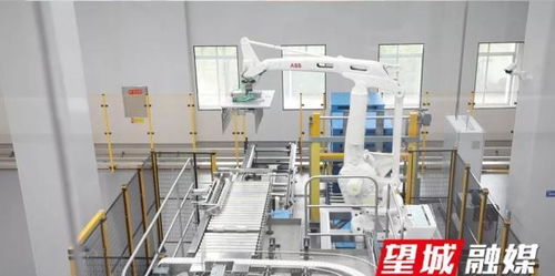 澳優(yōu)長(zhǎng)沙智慧工廠最新動(dòng)態(tài) 打造智能化乳業(yè)新標(biāo)桿